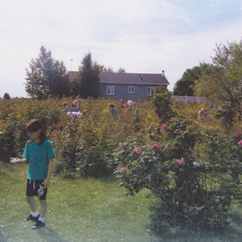 Camp d'un jour