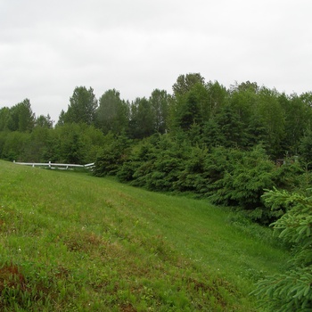 Protection du cours d'eau